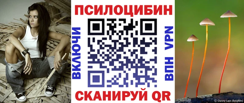 Псилоцибиновые грибы Cubensis  как найти наркотики  Муравленко 