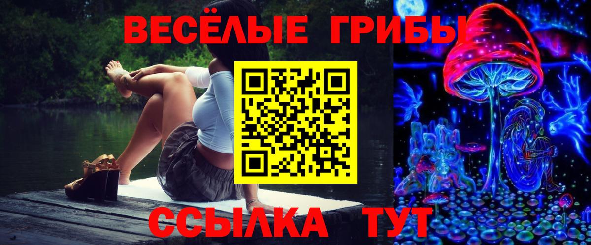 Галлюциногенные грибы прущие грибы  Вход с VPN  Муравленко  Галлюциногенные грибы мухоморы 